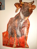 1200x1600 - 411,5 Ko