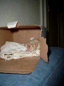 1200x1600 - 391,2 Ko