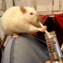 1081x1081 - 220,7 Ko