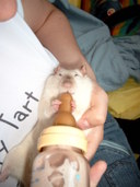 1200x1600 - 324,9 Ko