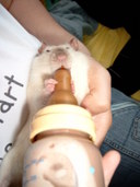 1200x1600 - 284,9 Ko