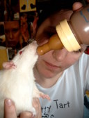 1200x1600 - 294,5 Ko