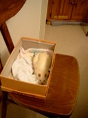 1200x1600 - 310,0 Ko